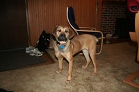 The newest member of my family, Ellie!